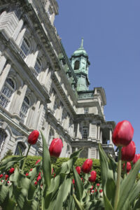 Montréal City Hall