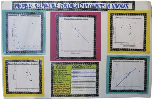 Statistical project ideas