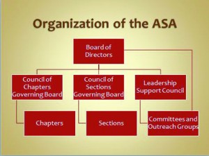 Figure 1. A chart showing the ASA leadership