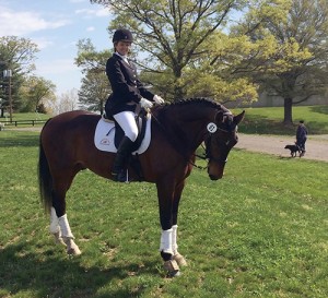 Amanda Malloy rides her Dutch Warmblood during a dressage competition in Leesburg, Virginia.