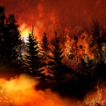 Statisticians and Wildfires at the Wildland/Urban Interface