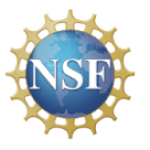 Computer and Information Science, Internships, Biological Infrastructure Top NSF Q&A