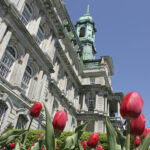 Montréal City Hall