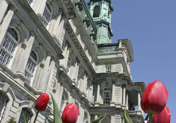 Montréal City Hall