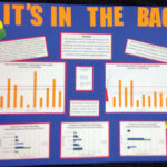 FIRST PLACE Anthony Aronson, Gino Bartolini, and Brooke Shirley It’s in the Bag Saltsburg Elementary School Saltsburg, PA