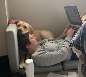 Erin Chapman lays on a couch working on a computer. Her service dog, Valor, rests his head on hers. He's laying behind her. He is a light-tan colored dog with floppy ears. 