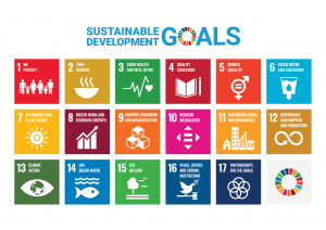 United Nations Sustainable Development Goals, www.un.org/sustainabledevelopment Reprinted with permission from the United Nations.