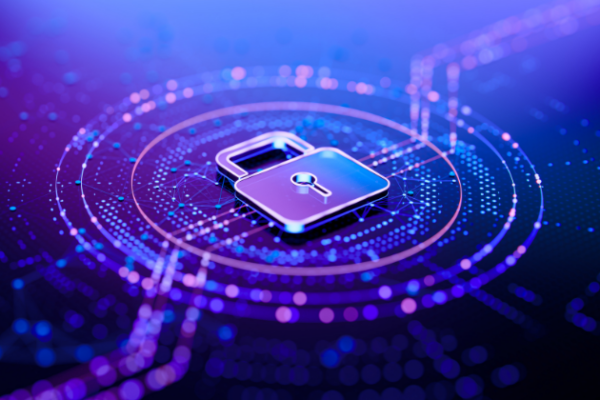 A graphical representation of data with a lock in the middle.